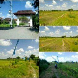 Jual Tanah Kaling Murah